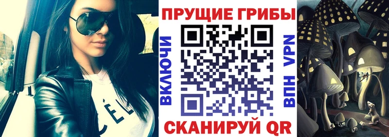 Псилоцибиновые грибы Psilocybe  Усмань 